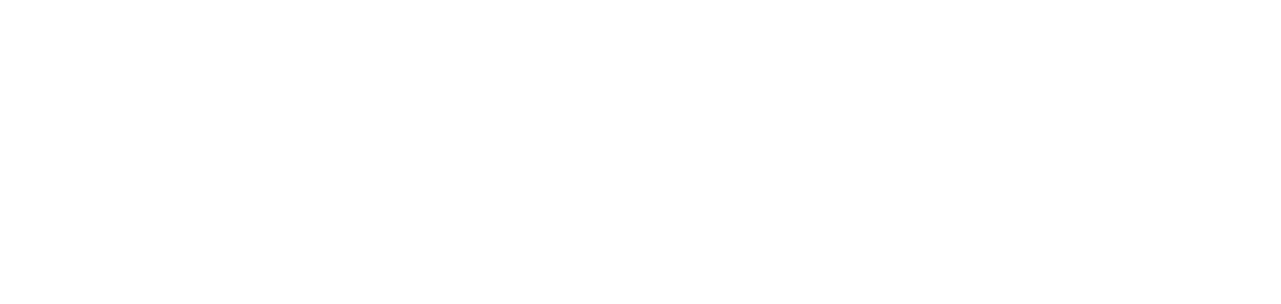 Lil Public Logo
